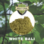 Witte Bali kratom poeder op achtergrond