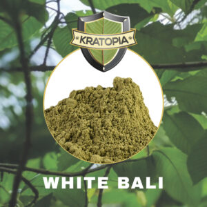 Witte Bali kratom poeder op achtergrond