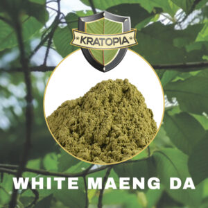 Witte Maeng Da kratom poeder
