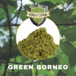 Green Borneo Kratom - 50 gram 2