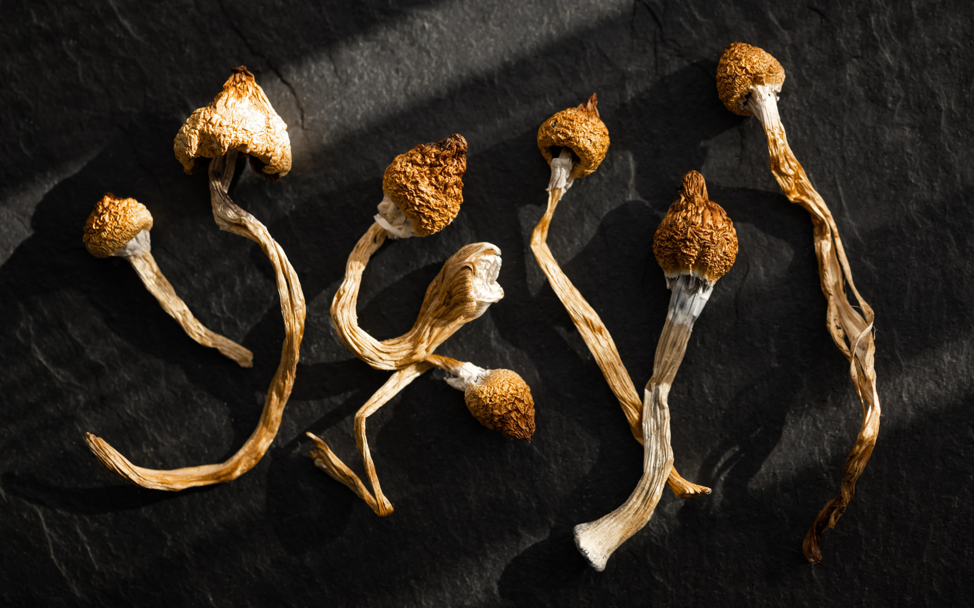 Hoe moet je microdoseren en wat zijn de voordelen?